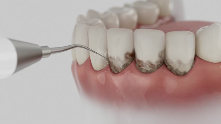 Reliable Dental contractor in Stanton, MI by Dentist Open Now